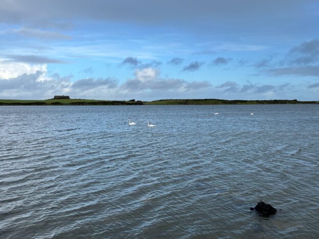 Swans glide on Lough Murree, Seamus Heaney's "slate-grey lake," along the Flaggy Shore in County Clare, Ireland.